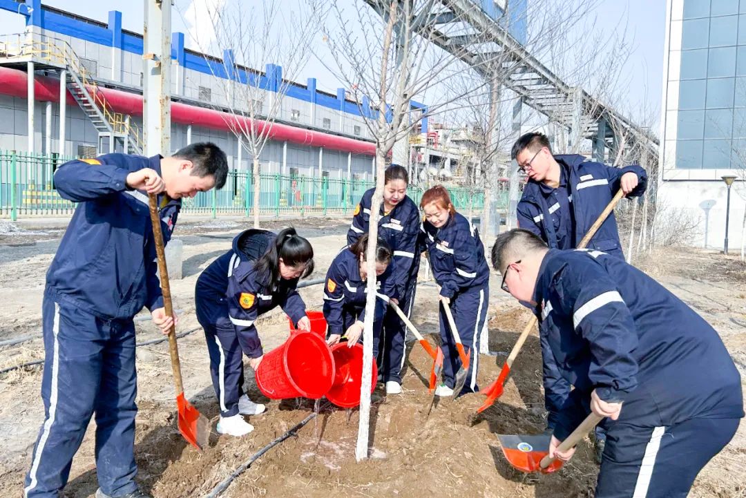 “植”此青綠共“樹(shù)”未來(lái)！集團(tuán)各公司開(kāi)展植樹(shù)活動(dòng)(圖19)